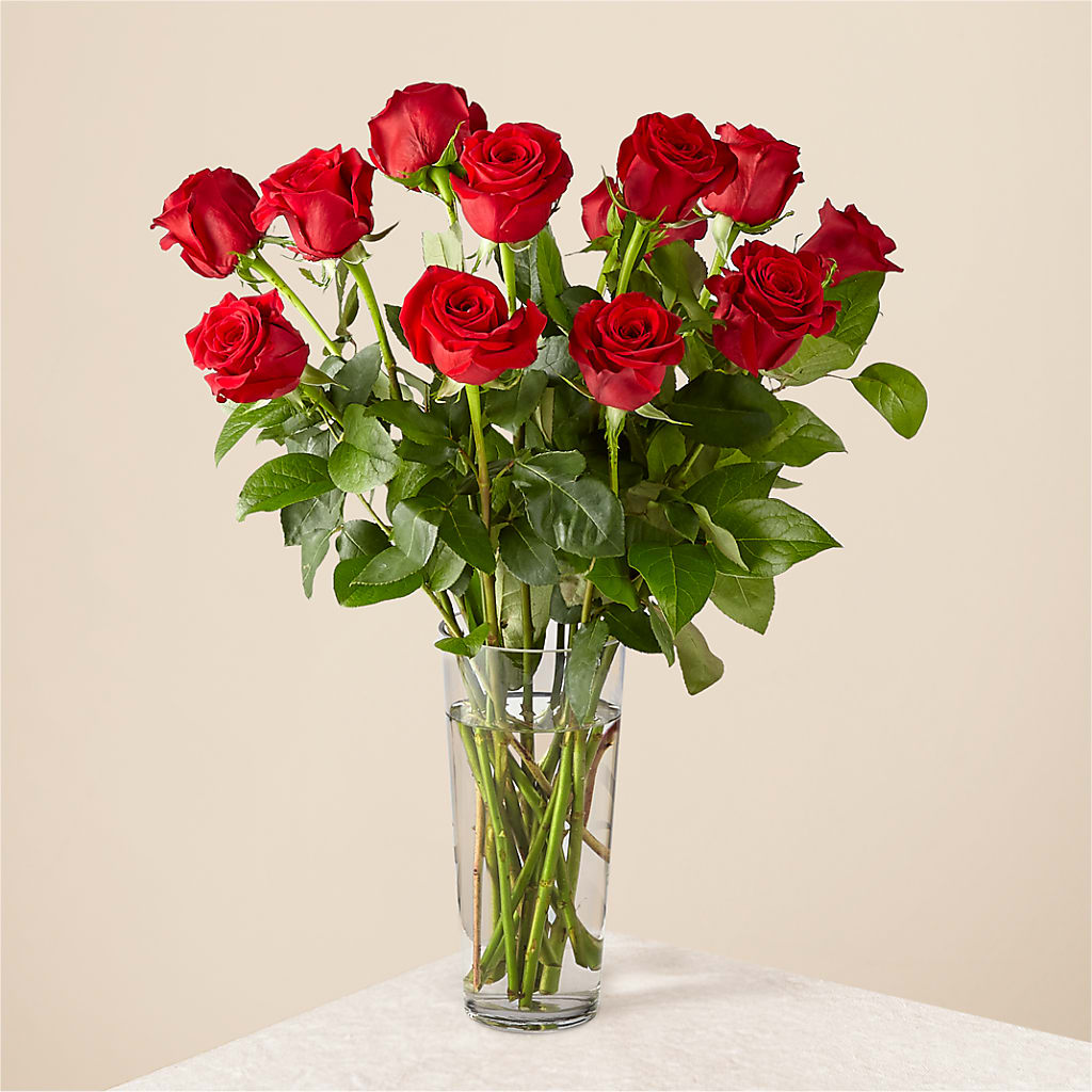Long Stem Red Rose Bouquet – COUNTRY HEARTH FLOWER & GIFT SHOP, East Berlin PA