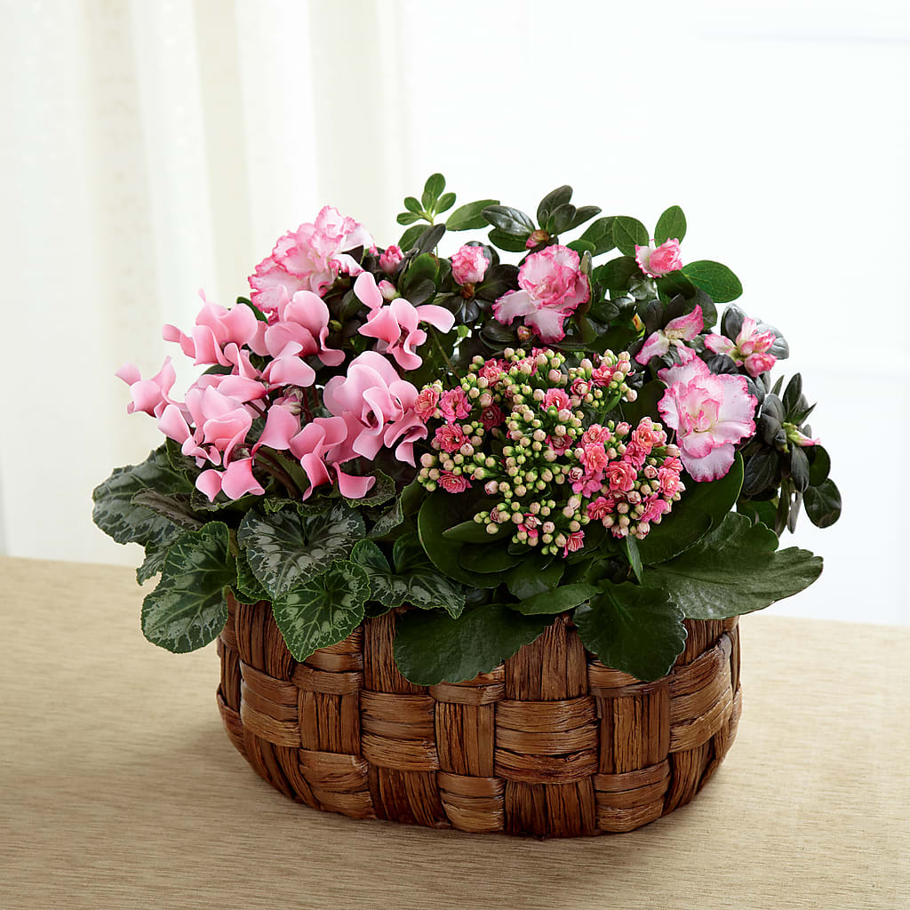 Pink Assortment – COUNTRY HEARTH FLOWER & GIFT SHOP, East Berlin PA