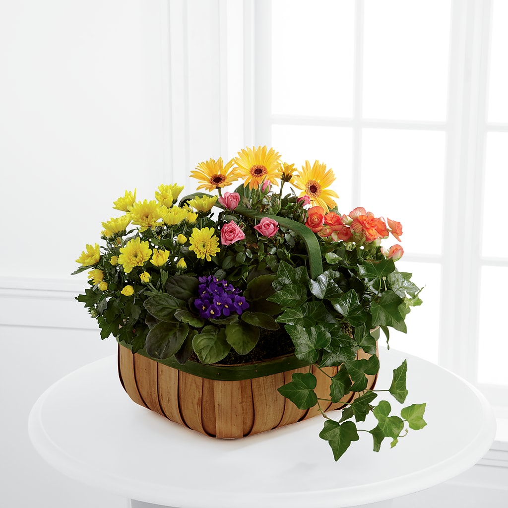 Gentle Blossoms Basket – COUNTRY HEARTH FLOWER & GIFT SHOP, East Berlin PA
