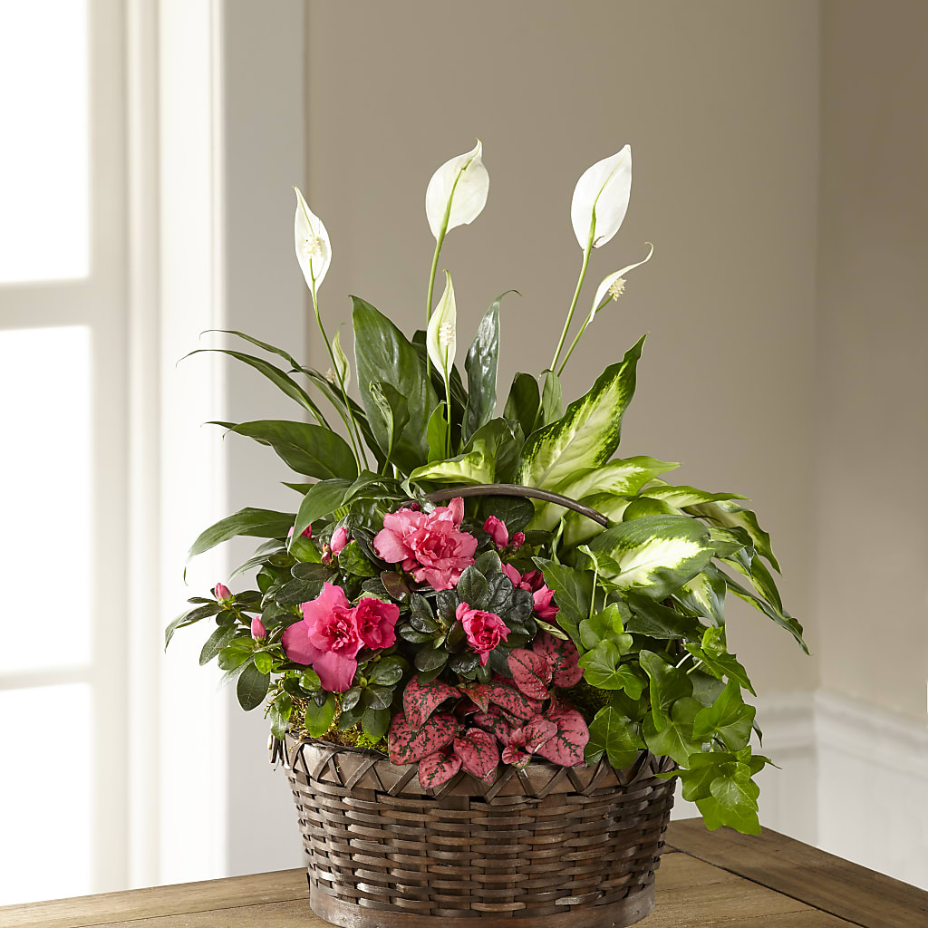 Dream in Pink Dishgarden – COUNTRY HEARTH FLOWER & GIFT SHOP, East Berlin PA