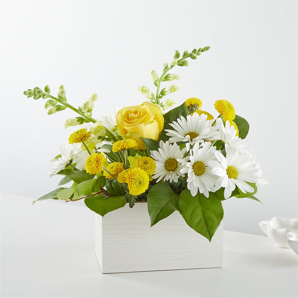 Sun Salutation Box Bouquet – COUNTRY HEARTH FLOWER & GIFT SHOP, East Berlin PA
