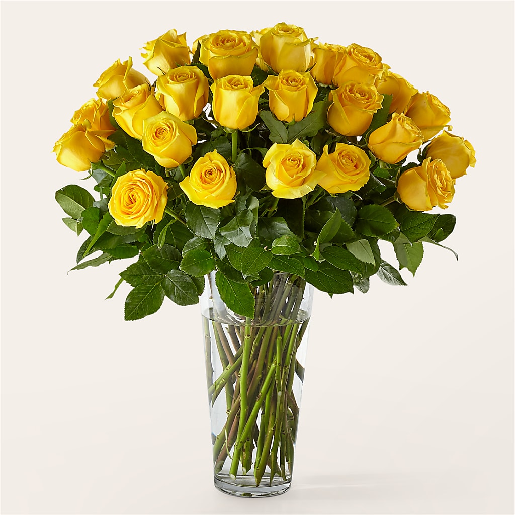 Long Stem Yellow Rose Bouquet – COUNTRY HEARTH FLOWER & GIFT SHOP, East Berlin PA