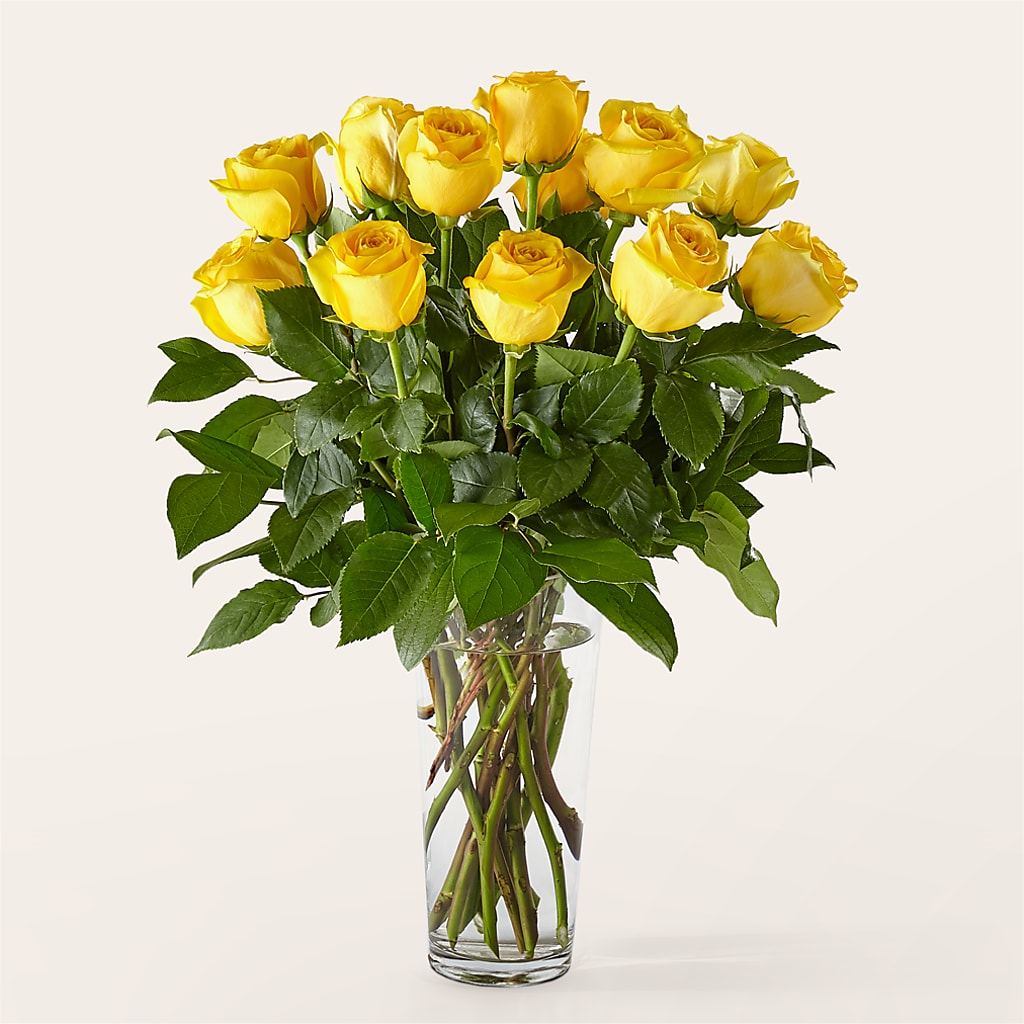Long Stem Yellow Rose Bouquet – COUNTRY HEARTH FLOWER & GIFT SHOP, East Berlin PA