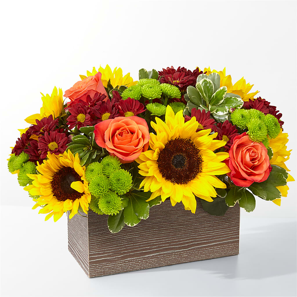 Happy Harvest Garden – COUNTRY HEARTH FLOWER & GIFT SHOP, East Berlin PA