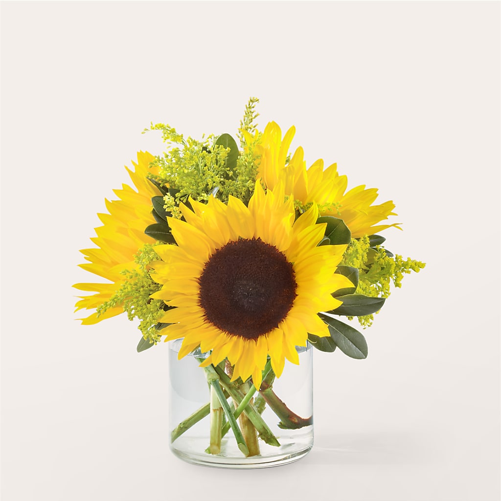 Beaming Sunflower Bouquet – COUNTRY HEARTH FLOWER & GIFT SHOP, East Berlin PA