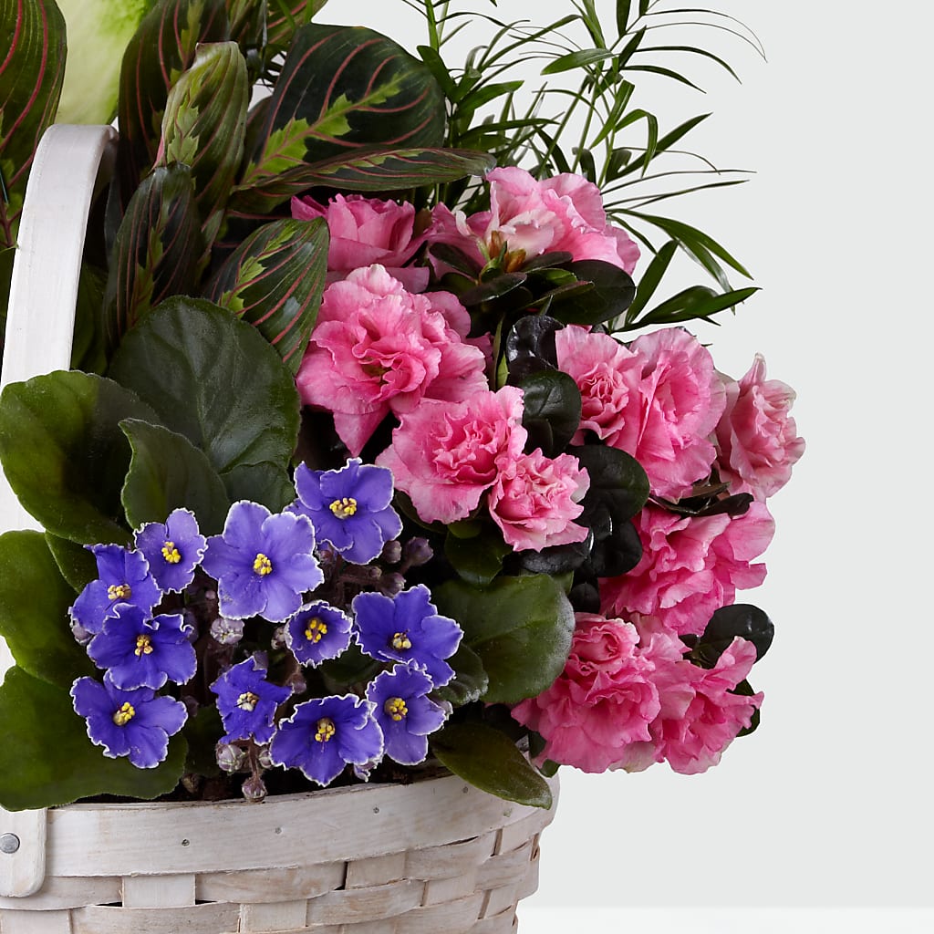 Peaceful Garden Planter – COUNTRY HEARTH FLOWER & GIFT SHOP, East Berlin PA