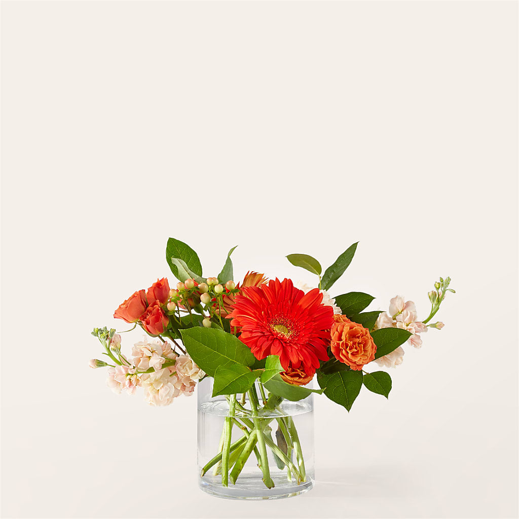 Paloma Please Bouquet – COUNTRY HEARTH FLOWER & GIFT SHOP, East Berlin PA