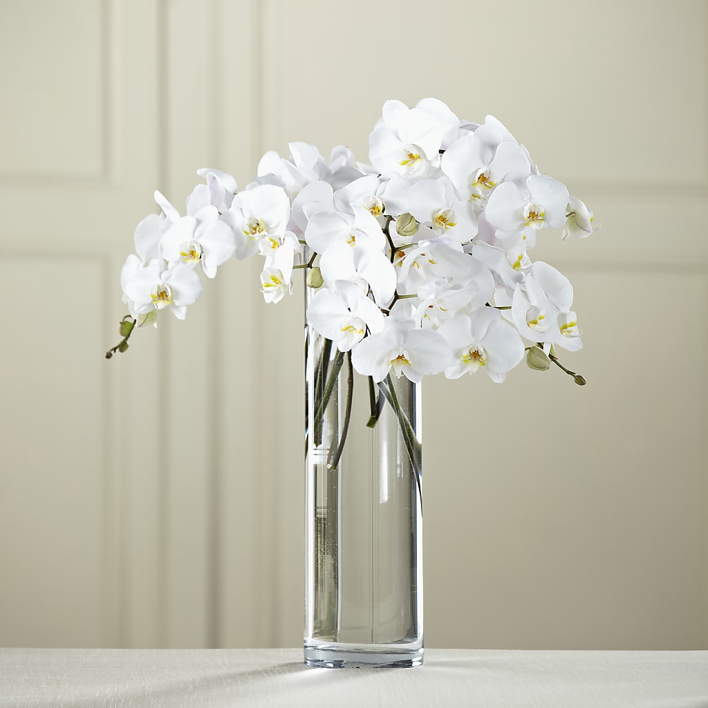 White Phalaenopsis Bouquet – COUNTRY HEARTH FLOWER & GIFT SHOP, East Berlin PA