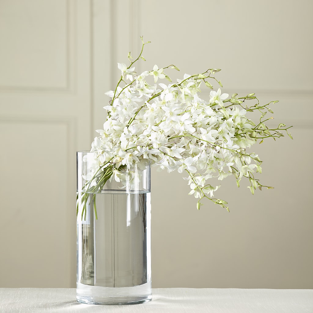 White Dendrobium Bouquet – COUNTRY HEARTH FLOWER & GIFT SHOP, East Berlin PA