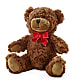 Adorable Plush Bear – COUNTRY HEARTH FLOWER & GIFT SHOP, East Berlin PA