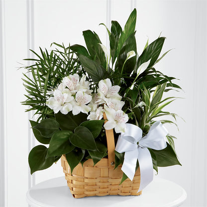 Peace & Serenity Dishgarden – COUNTRY HEARTH FLOWER & GIFT SHOP, East Berlin PA