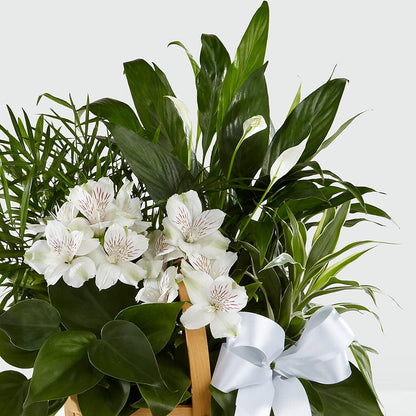Peace & Serenity Dishgarden – COUNTRY HEARTH FLOWER & GIFT SHOP, East Berlin PA