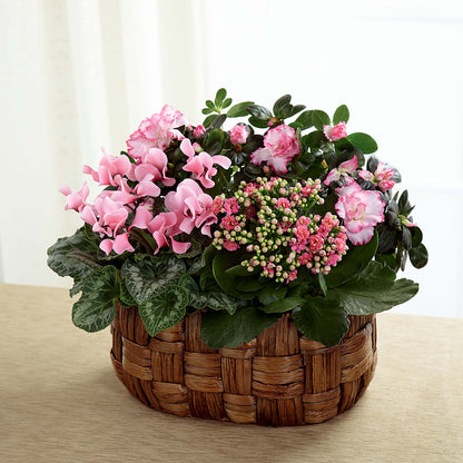 Pink Assortment – COUNTRY HEARTH FLOWER & GIFT SHOP, East Berlin PA
