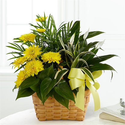 Loving Light Dishgarden – COUNTRY HEARTH FLOWER & GIFT SHOP, East Berlin PA
