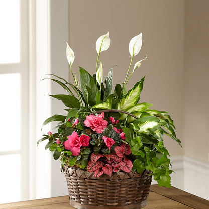 Dream in Pink Dishgarden – COUNTRY HEARTH FLOWER & GIFT SHOP, East Berlin PA