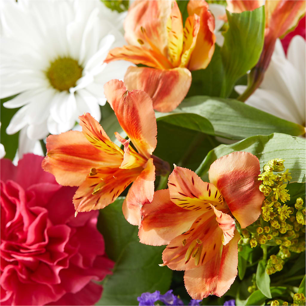 Oopsie Daisy Box Bouquet – COUNTRY HEARTH FLOWER & GIFT SHOP, East Berlin PA