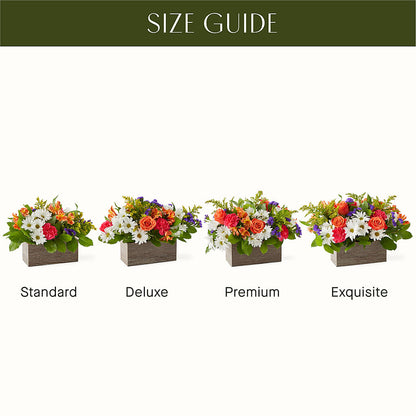 Oopsie Daisy Box Bouquet – COUNTRY HEARTH FLOWER & GIFT SHOP, East Berlin PA