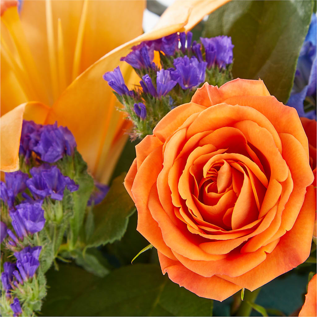 Radiant Citrus Box Bouquet – COUNTRY HEARTH FLOWER & GIFT SHOP, East Berlin PA