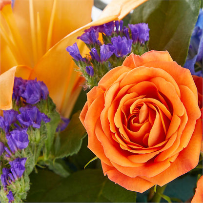 Radiant Citrus Box Bouquet – COUNTRY HEARTH FLOWER & GIFT SHOP, East Berlin PA