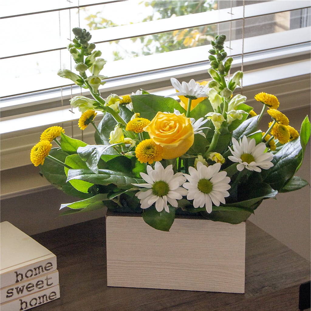 Sun Salutation Box Bouquet – COUNTRY HEARTH FLOWER & GIFT SHOP, East Berlin PA