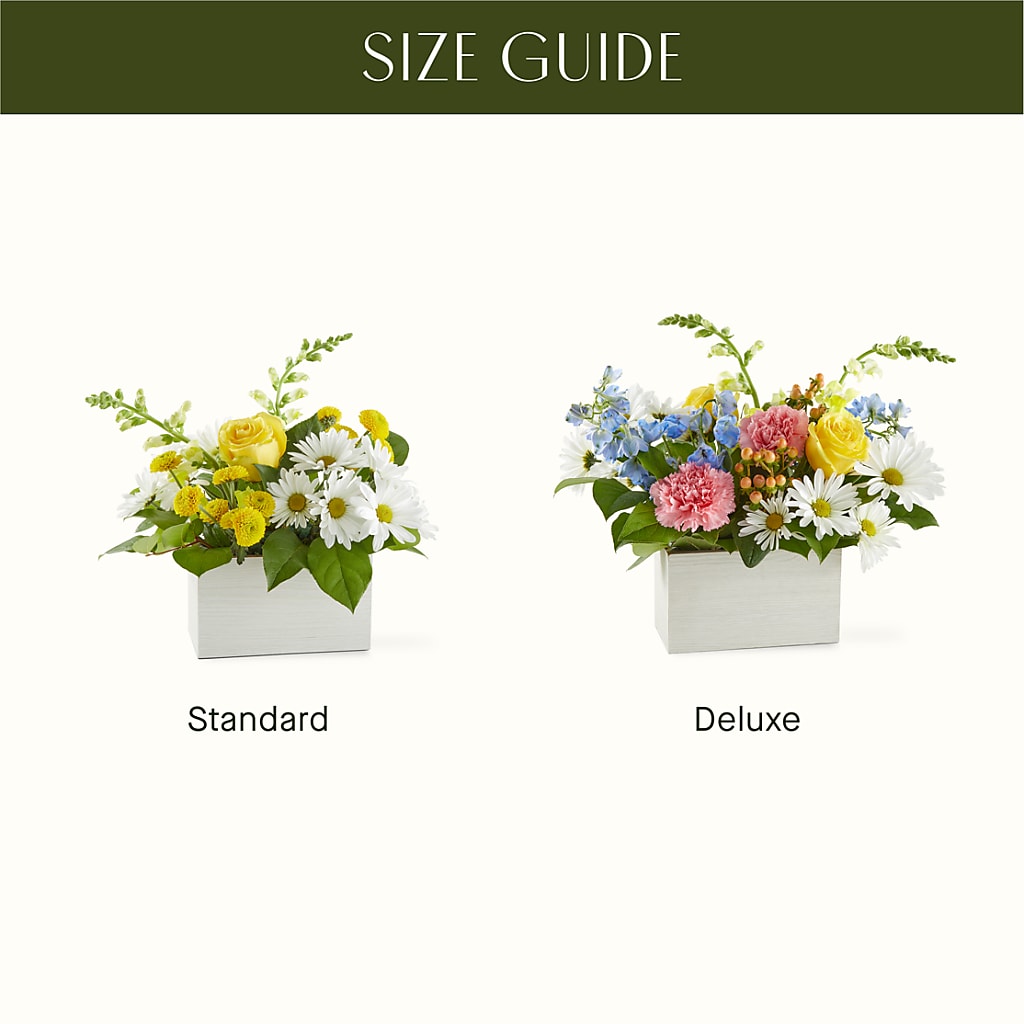 Sun Salutation Box Bouquet – COUNTRY HEARTH FLOWER & GIFT SHOP, East Berlin PA