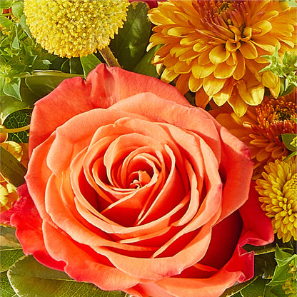 Gourdgeous Pumpkin – COUNTRY HEARTH FLOWER & GIFT SHOP, East Berlin PA