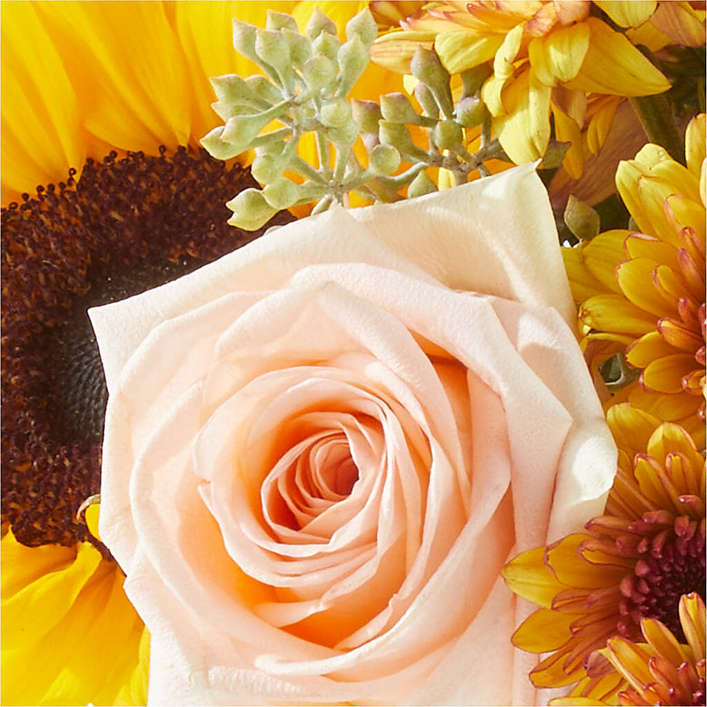 Pumpkin to Talk About Bouquet – COUNTRY HEARTH FLOWER & GIFT SHOP, East Berlin PA