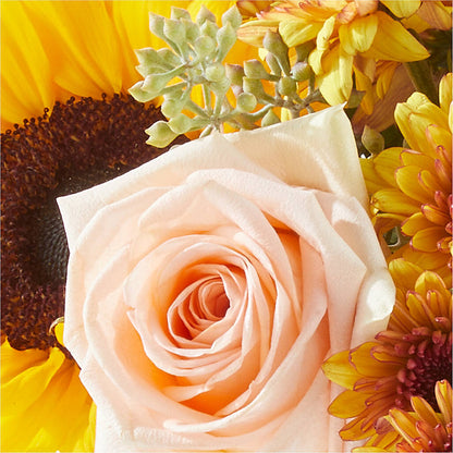 Pumpkin to Talk About Bouquet – COUNTRY HEARTH FLOWER & GIFT SHOP, East Berlin PA