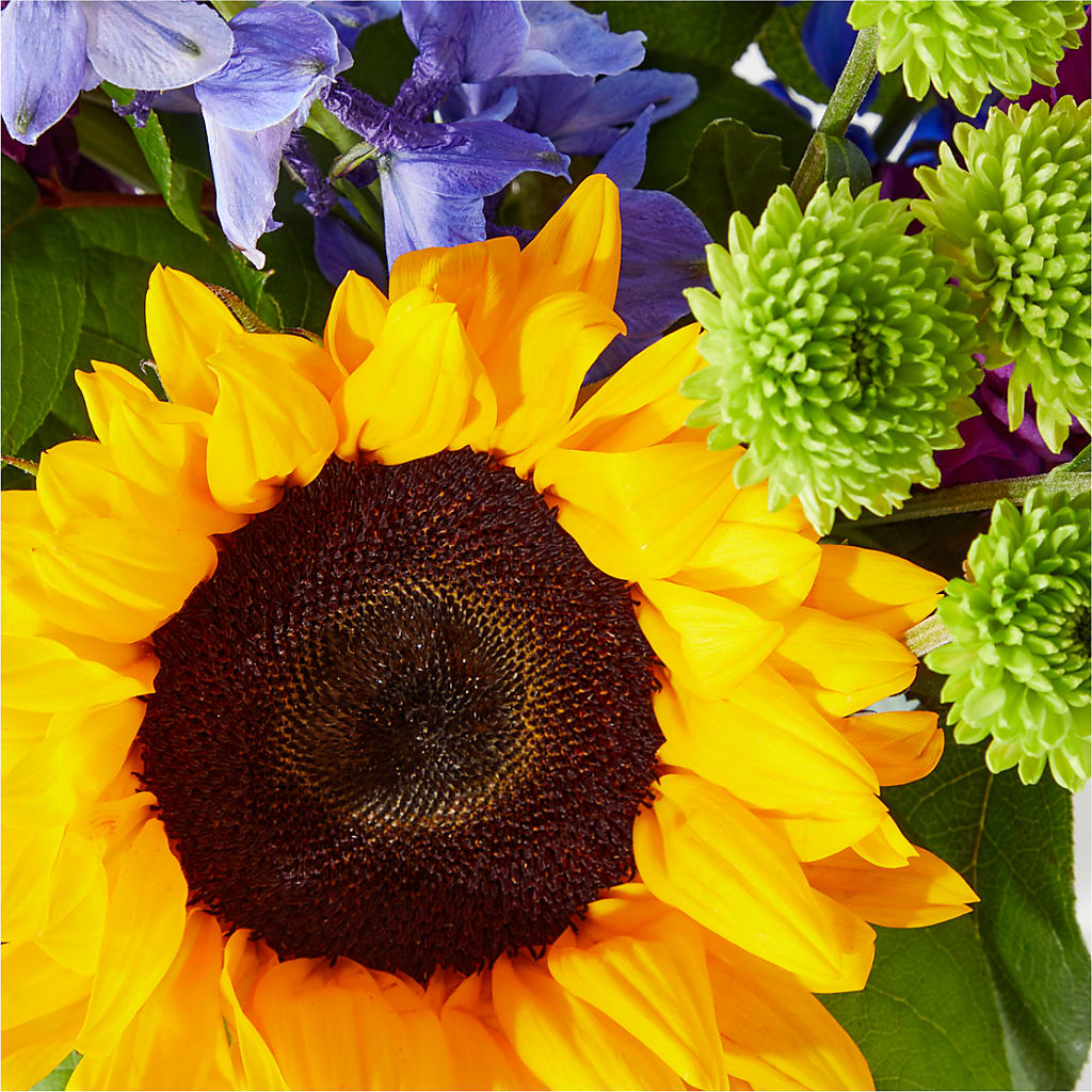 Catching Rays Bouquet – COUNTRY HEARTH FLOWER & GIFT SHOP, East Berlin PA