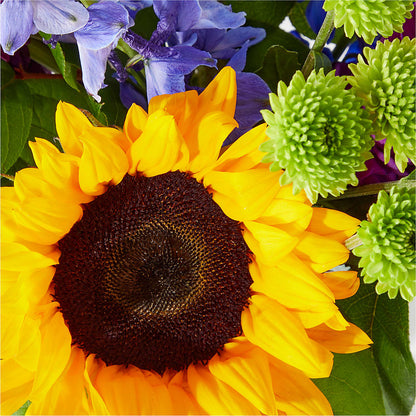 Catching Rays Bouquet – COUNTRY HEARTH FLOWER & GIFT SHOP, East Berlin PA