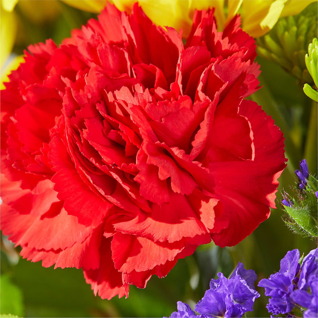 Brighter Days Bouquet – COUNTRY HEARTH FLOWER & GIFT SHOP, East Berlin PA