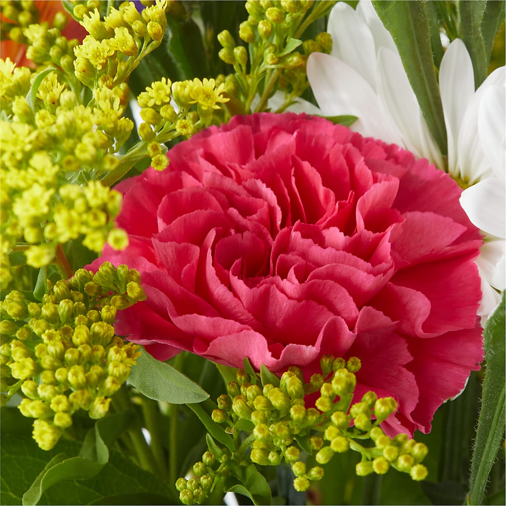 Oopsie Daisy Bouquet – COUNTRY HEARTH FLOWER & GIFT SHOP, East Berlin PA