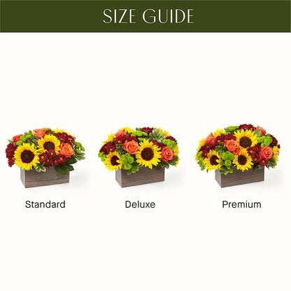 Happy Harvest Garden – COUNTRY HEARTH FLOWER & GIFT SHOP, East Berlin PA