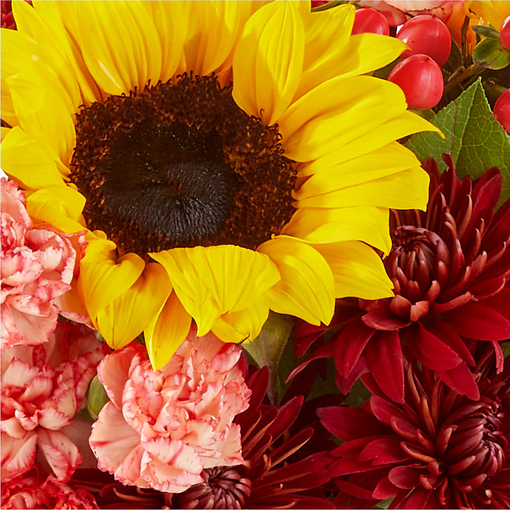 Fresh Cider Bouquet – COUNTRY HEARTH FLOWER & GIFT SHOP, East Berlin PA