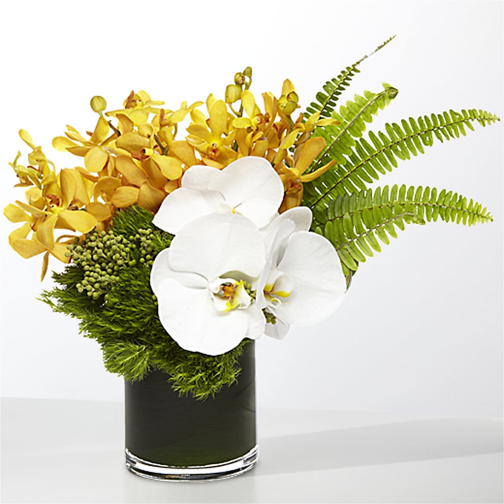 The Tropics – COUNTRY HEARTH FLOWER & GIFT SHOP, East Berlin PA