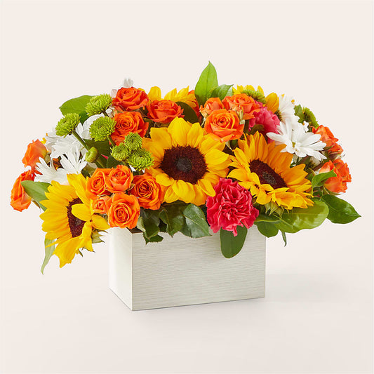 Sun-drenched Blooms Box Bouquet – COUNTRY HEARTH FLOWER & GIFT SHOP, East Berlin PA