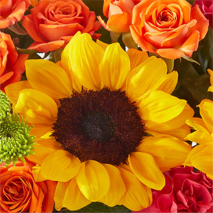 Sun-drenched Blooms Box Bouquet – COUNTRY HEARTH FLOWER & GIFT SHOP, East Berlin PA