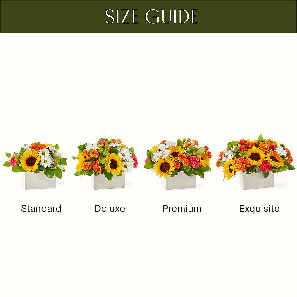 Sun-drenched Blooms Box Bouquet – COUNTRY HEARTH FLOWER & GIFT SHOP, East Berlin PA