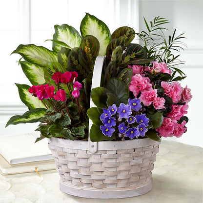 Peaceful Garden Planter – COUNTRY HEARTH FLOWER & GIFT SHOP, East Berlin PA
