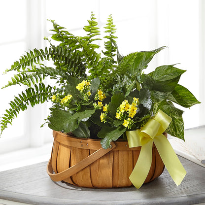 Always Dear Dishgarden – COUNTRY HEARTH FLOWER & GIFT SHOP, East Berlin PA