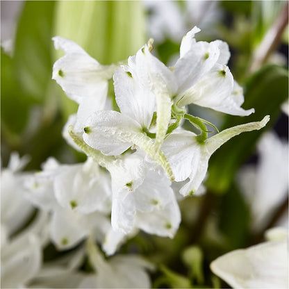 Classic Ivory – A Florist Original – COUNTRY HEARTH FLOWER & GIFT SHOP, East Berlin PA