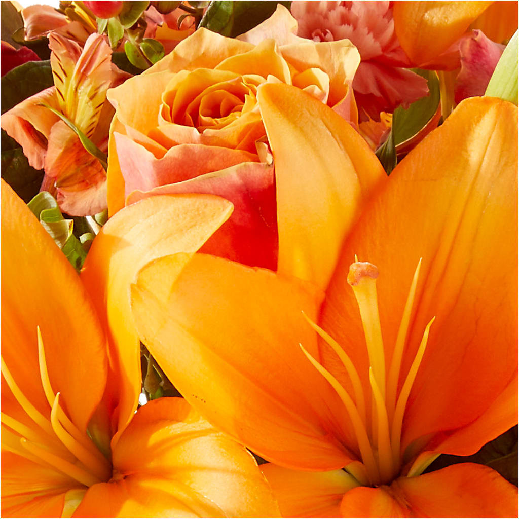 Afternoon Light Bouquet – COUNTRY HEARTH FLOWER & GIFT SHOP, East Berlin PA