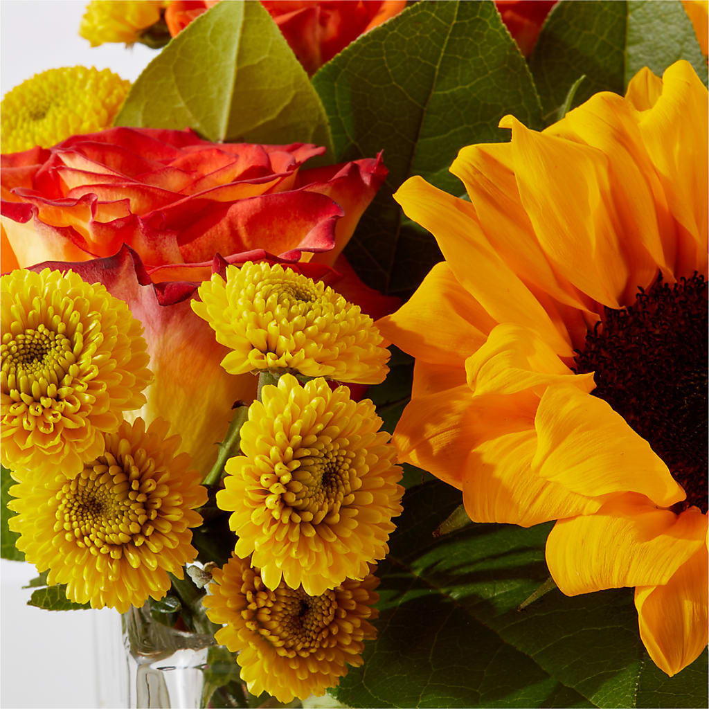 Picnic in the Park Bouquet – COUNTRY HEARTH FLOWER & GIFT SHOP, East Berlin PA