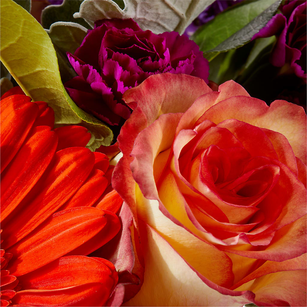 Sangria Bouquet – COUNTRY HEARTH FLOWER & GIFT SHOP, East Berlin PA