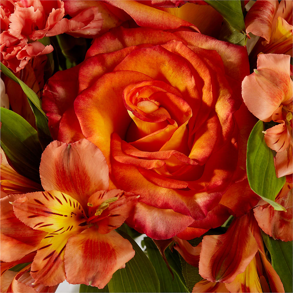 Apricot Glow Bouquet – COUNTRY HEARTH FLOWER & GIFT SHOP, East Berlin PA