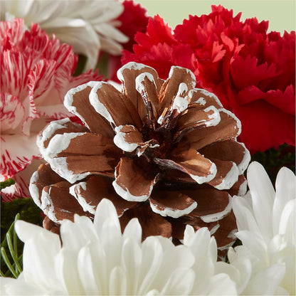 Candy Cane Lane Bouquet – COUNTRY HEARTH FLOWER & GIFT SHOP, East Berlin PA