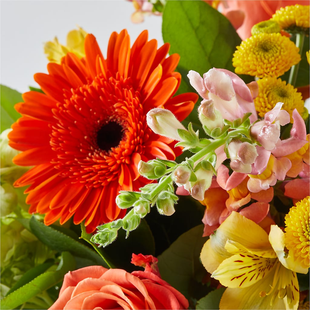 Autumn Sunshine Bouquet – COUNTRY HEARTH FLOWER & GIFT SHOP, East Berlin PA