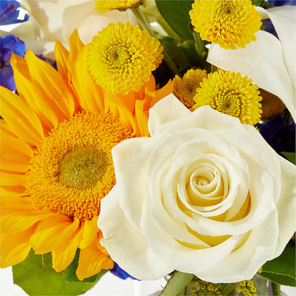 Stargazing Bouquet – COUNTRY HEARTH FLOWER & GIFT SHOP, East Berlin PA