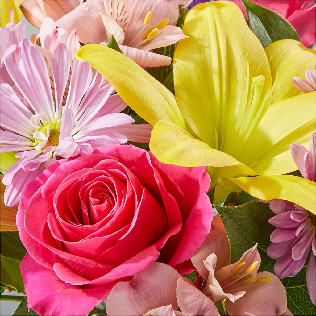 Sprinkles Bouquet – COUNTRY HEARTH FLOWER & GIFT SHOP, East Berlin PA