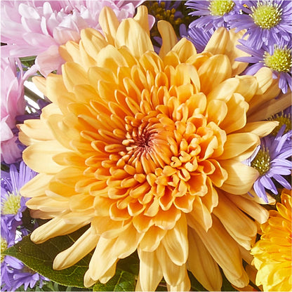 Countryside Bouquet – COUNTRY HEARTH FLOWER & GIFT SHOP, East Berlin PA
